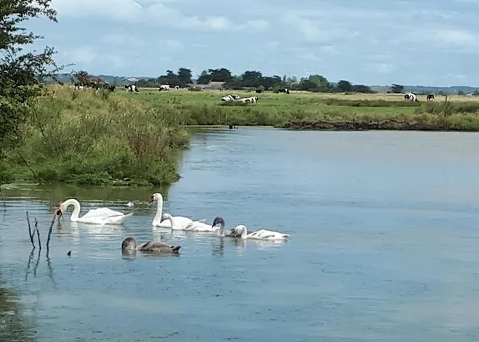 Σπίτι διακοπών La Bananeraie En Retz *
