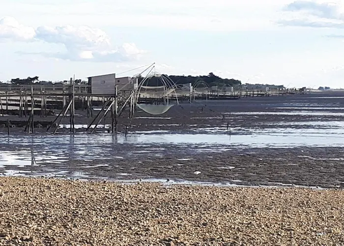 La Bananeraie En Retz * La Bernerie-en-Retz