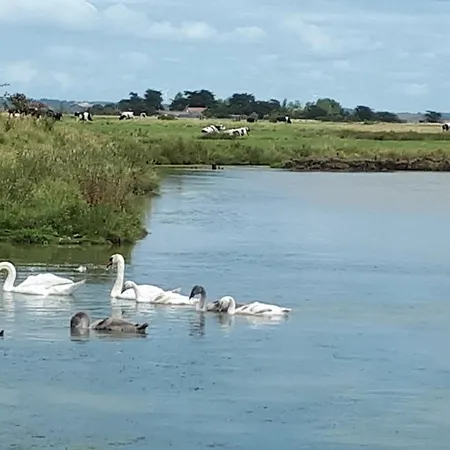 Сasa de vacaciones La Bananeraie En Retz *